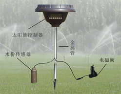 園林綠化與錢眼產(chǎn)品的多維度經(jīng)濟(jì)分析